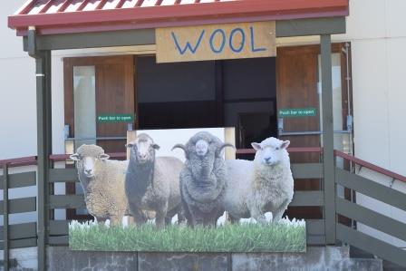 Wool shed