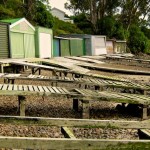 Best Banks Peninsula Photo 2011